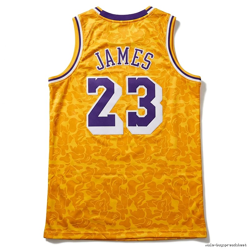 LBJ No. 23 camouflage-style jersey