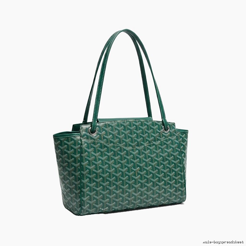 The classic retro green handbag of GOYARD